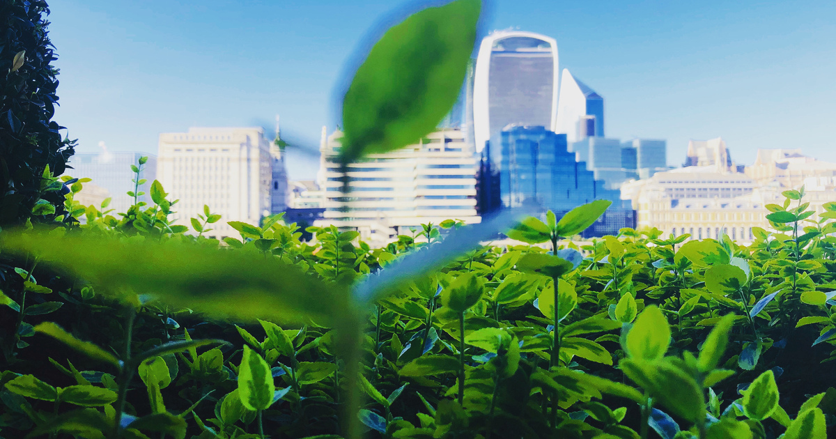 City of London green finance SEO
